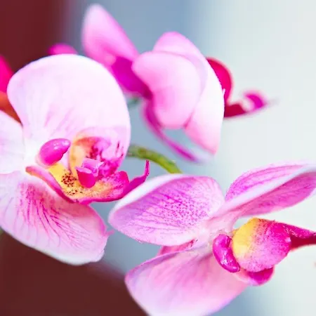 Altes Schroeer 2* Westerkappeln