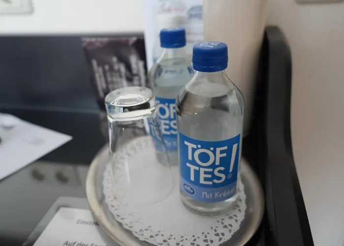 阿尔特斯施罗尔酒店