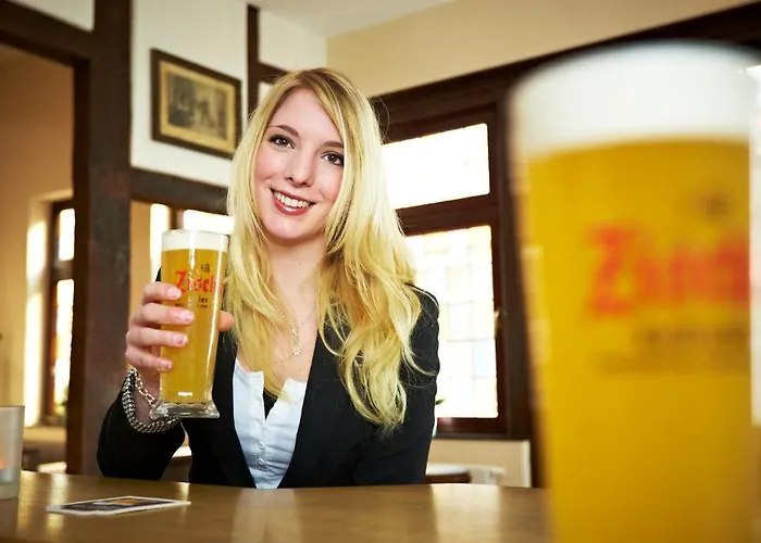 阿尔特斯施罗尔酒店 Westerkappeln